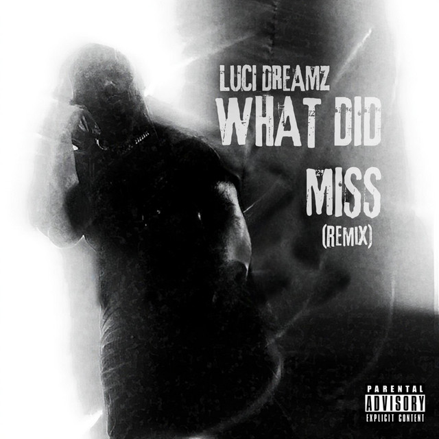 What Did I Miss cover art