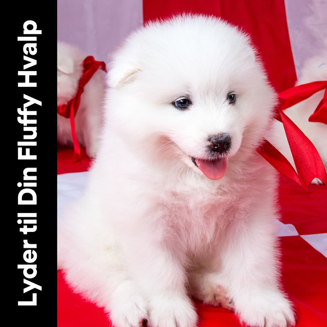 Lyder til Din Fluffy Hvalp cover art