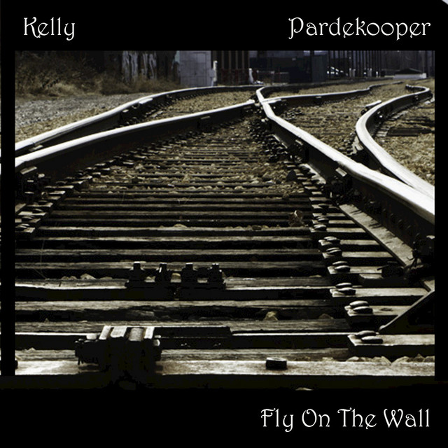 Fly On The Wall cover art
