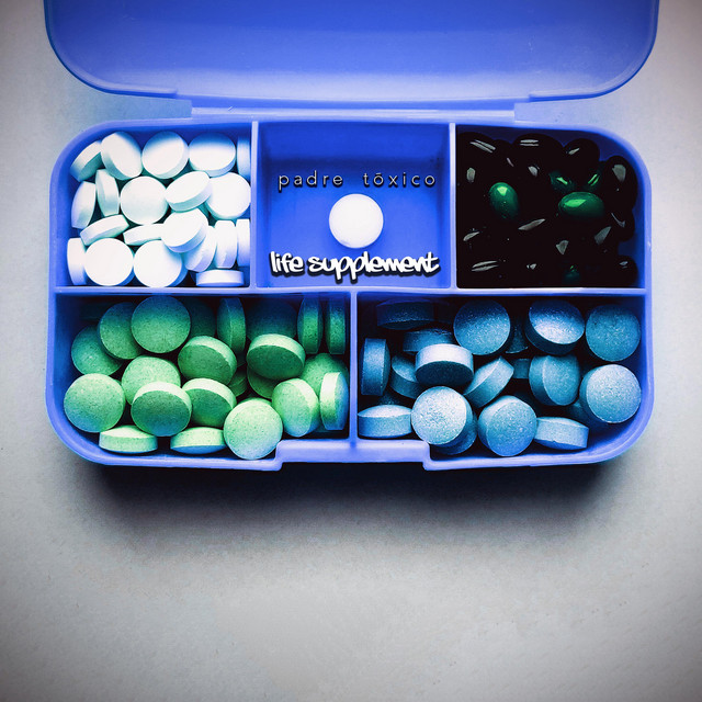 Life Supplement cover art