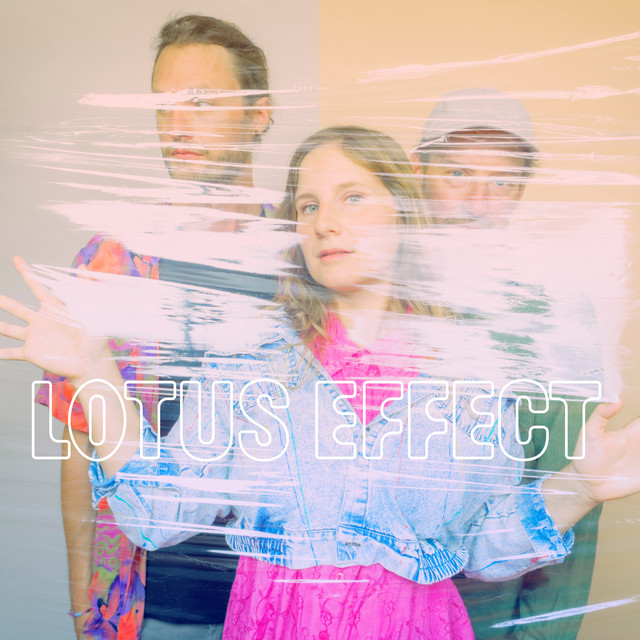 Lotus Effect cover