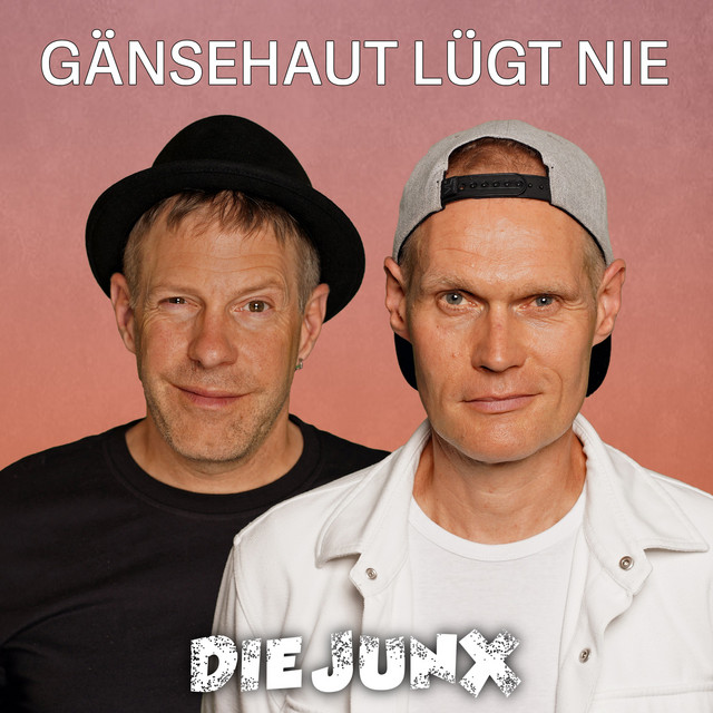 Gänsehaut lügt nie cover
