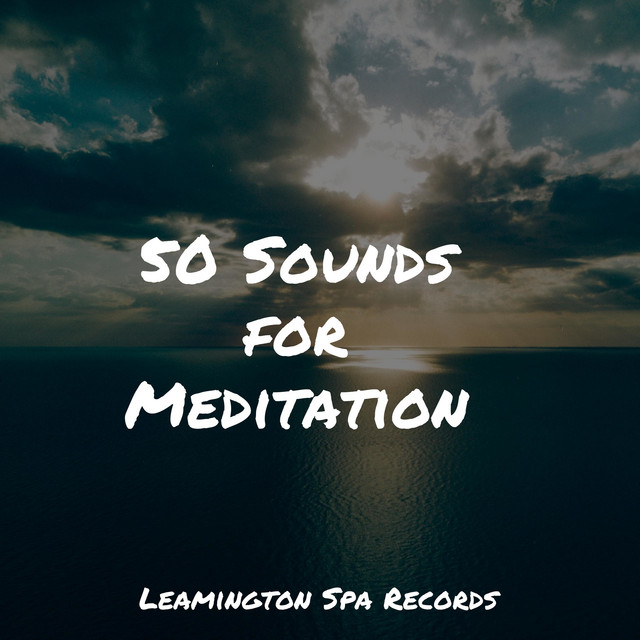 50 Sounds for Meditation - Album by Sleep Lullabies for Newborn | Spotify