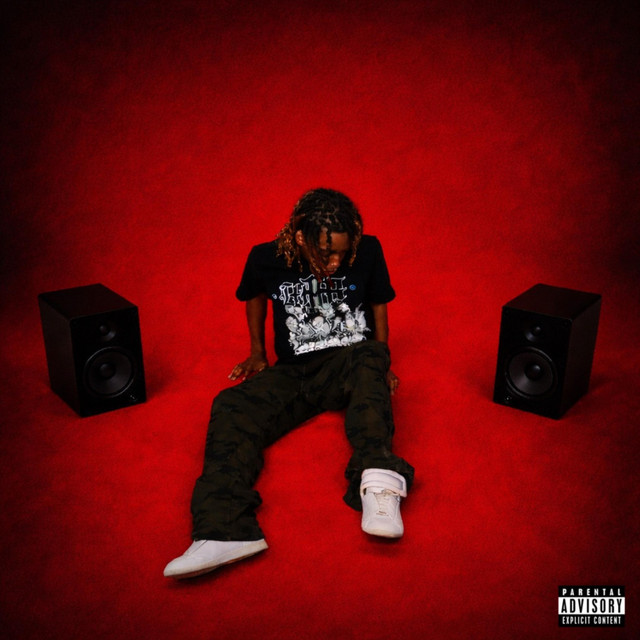 ZO cover art