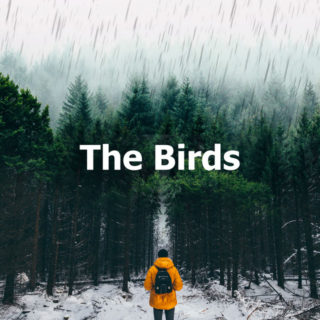 Birds Live By The Stream - song and lyrics by Rainforest | Spotify