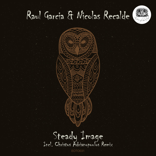 Steady Image cover art