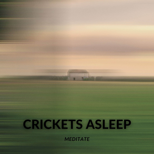 Crickets Asleep (Loop Version)