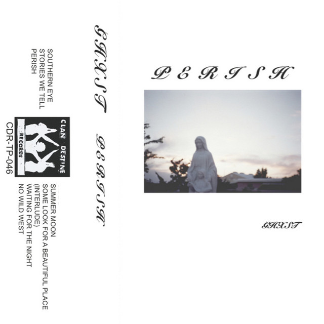 Perish cover art