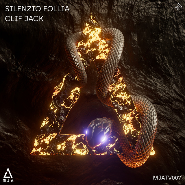 Silenzio Follia album art