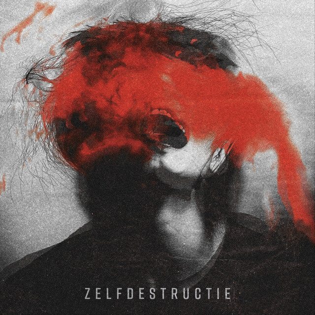 Zelfdestructie (single)