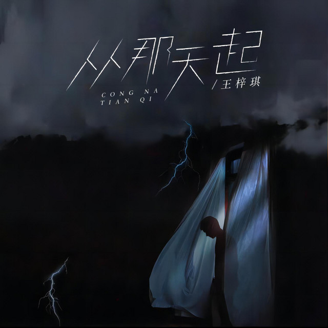 从那天起