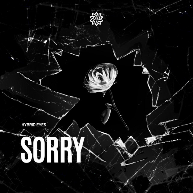 Sorry cover art