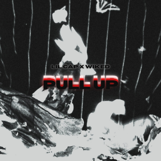 Pull Up cover art