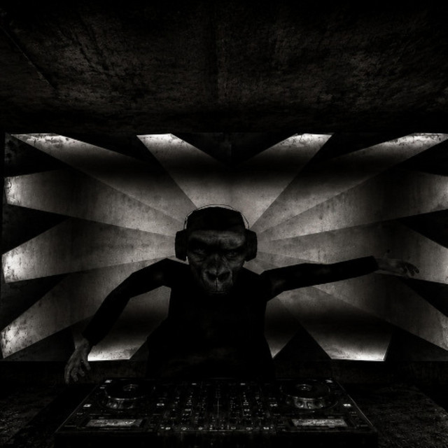BRNO TRANSIT RAVE cover art
