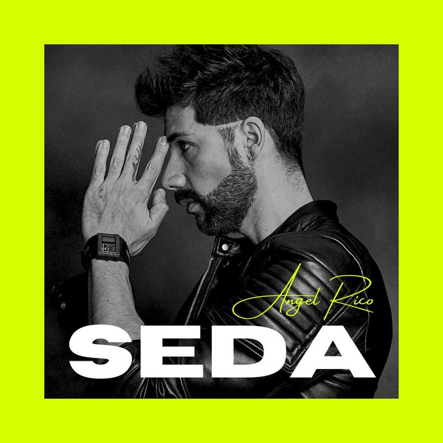 Seda - song and lyrics by Angel Rico | Spotify