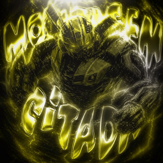 MONTAGEM CITADA
