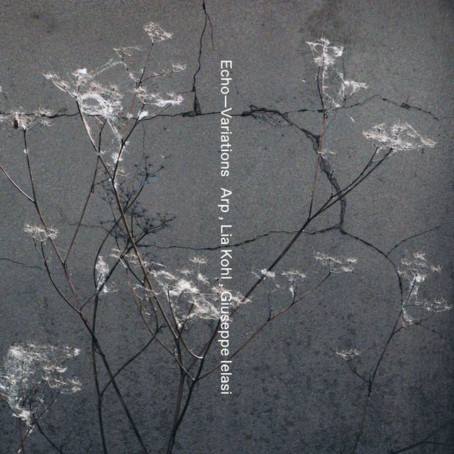 Dissolve - Giuseppe Ielasi Remix cover art