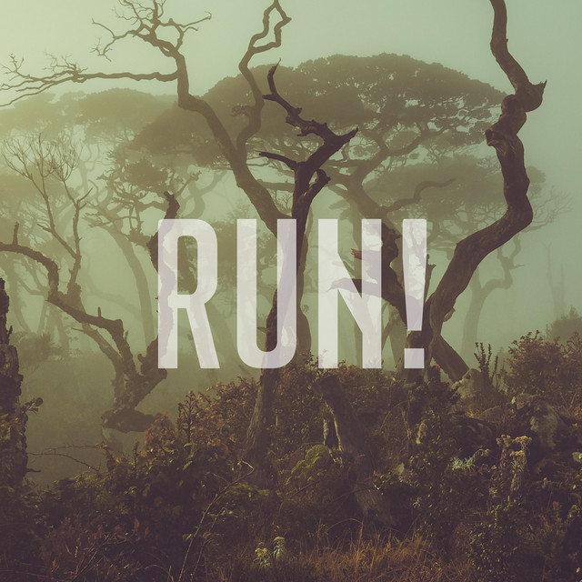 RUN! - Single by Gustie | Spotify