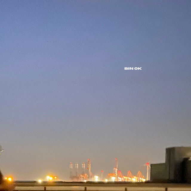 bin ok cover art