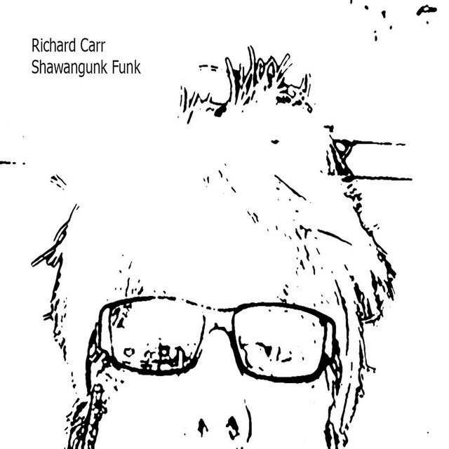 Shawangunk Funk cover art