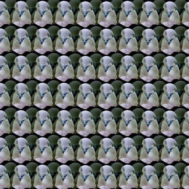 Bored cover