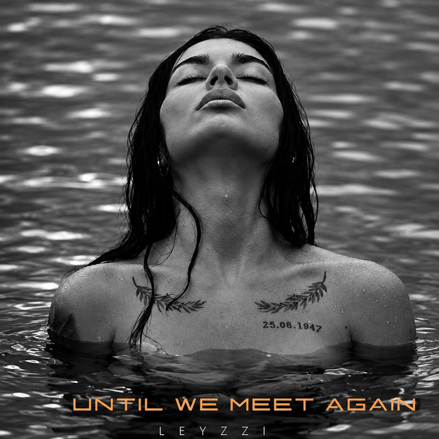 LEYZZI Until We Meet Again cover