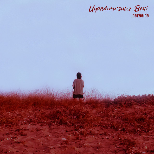 Uyandırırsınız Beni cover art