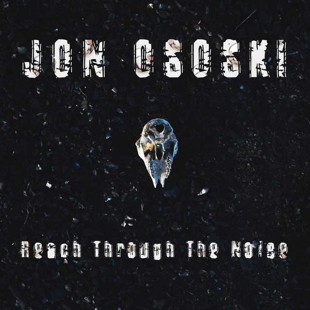 Reach Through the Noise cover art