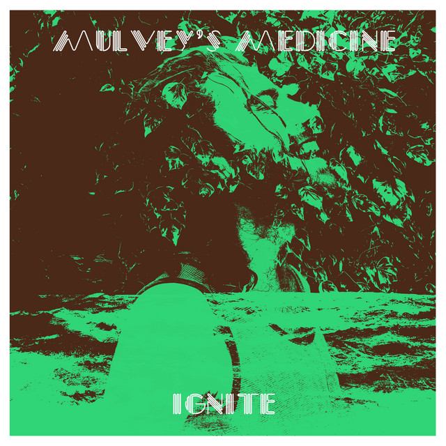 Ignite cover art