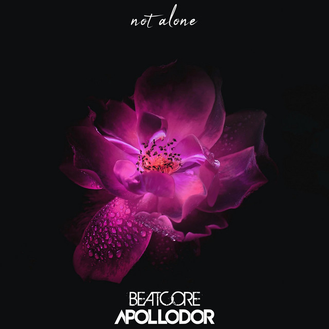 Not Alone cover art