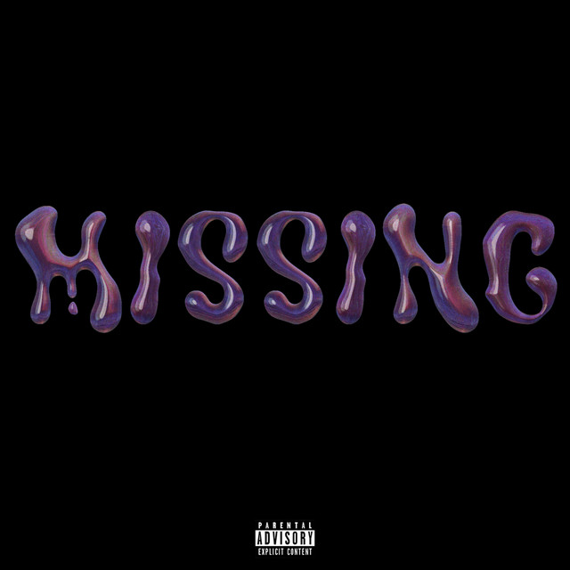 MISSING! cover art