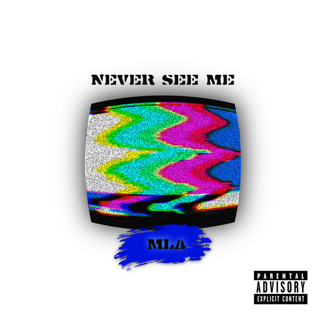 Never See Me cover