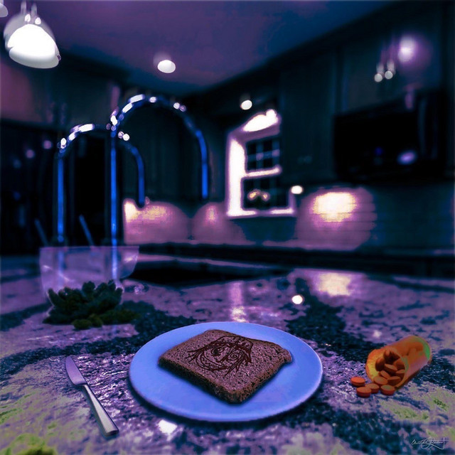 toasted cover art