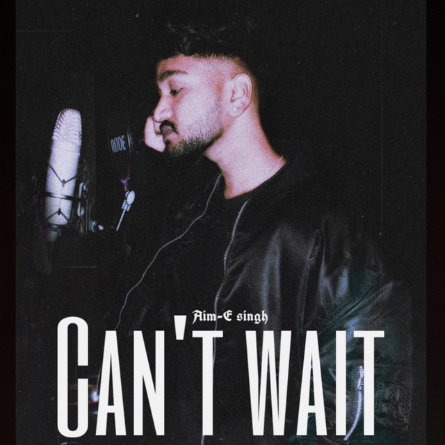 can't wait cover art
