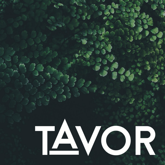Tavor
