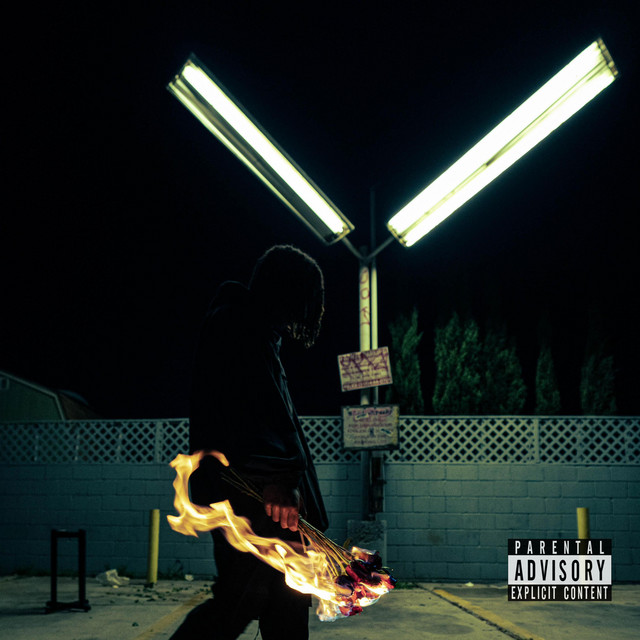 Burning Roses cover art