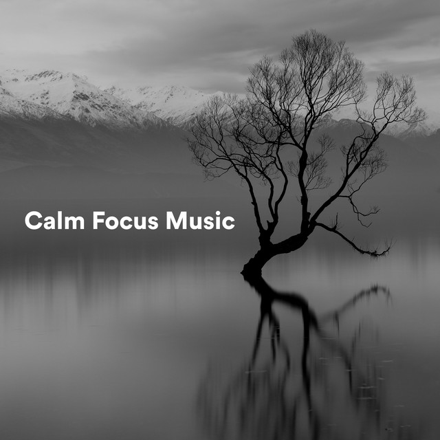Calm Focus Music cover art