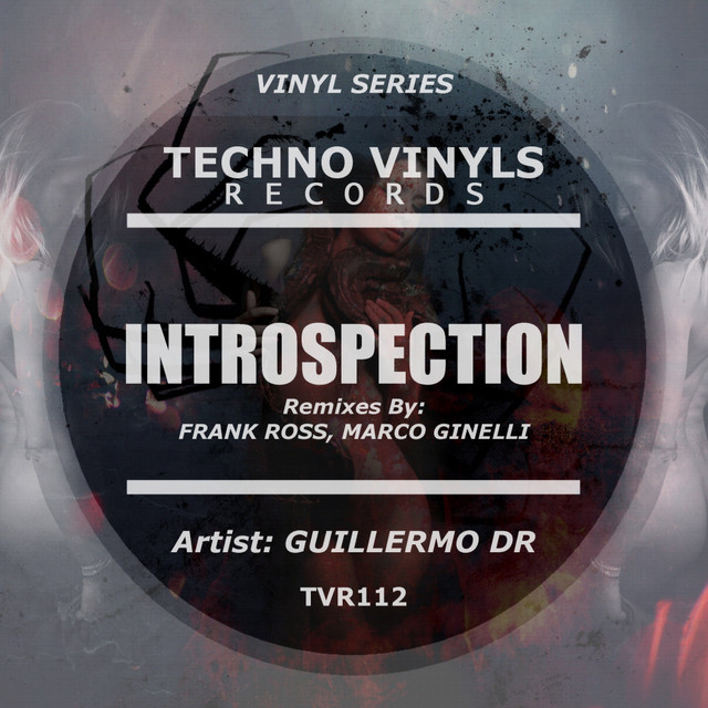Introspection cover art