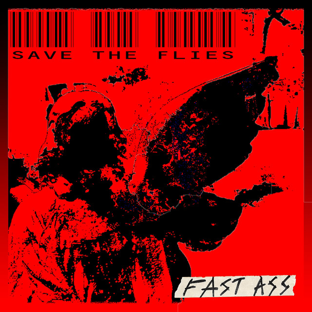 Cover art for SAVE THE FLIES