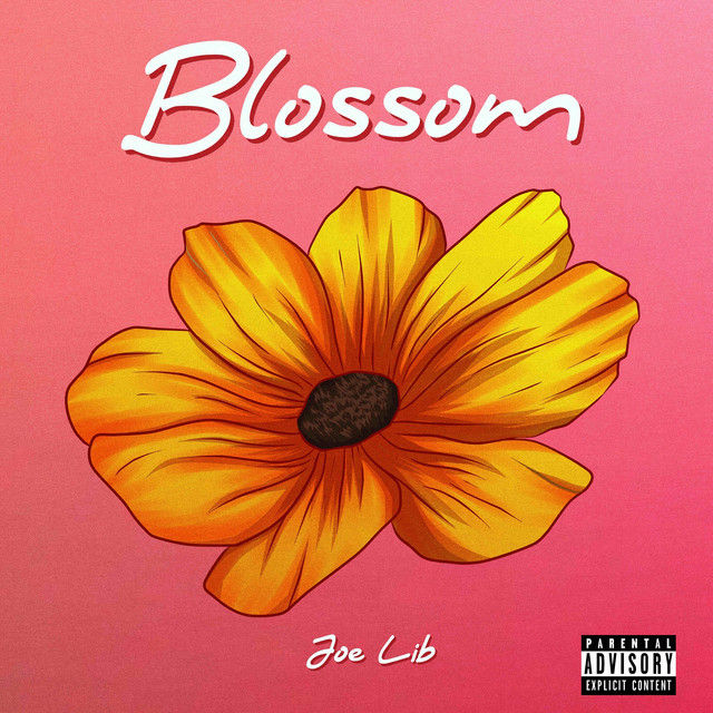 Blossom - song and lyrics by Joe Lib | Spotify
