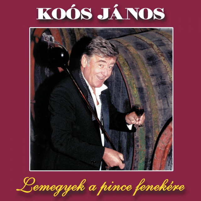 Lemegyek A Pince Fenekére cover