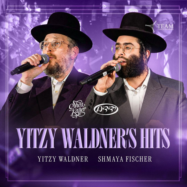 Yitzy Waldner's Hits album image