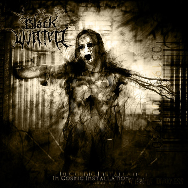 In Cosmic Installation cover