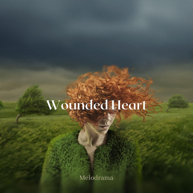 Wounded Heart cover art
