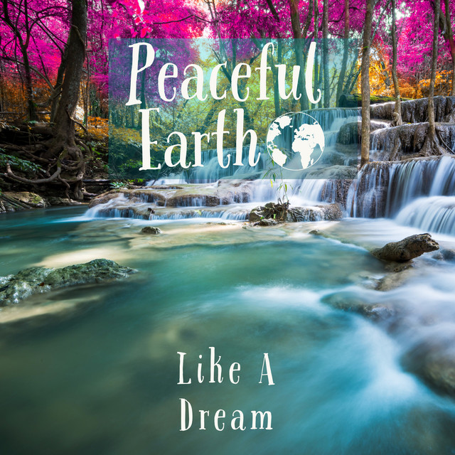 Like A Dream