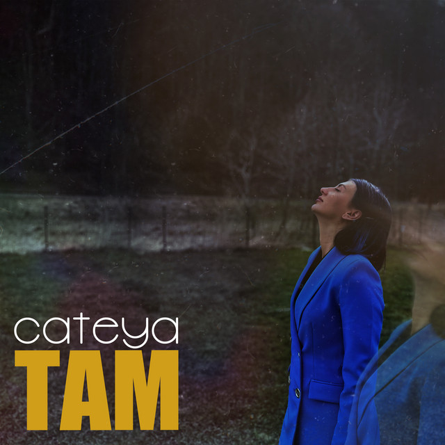 Обкладинка: Там — Cateya