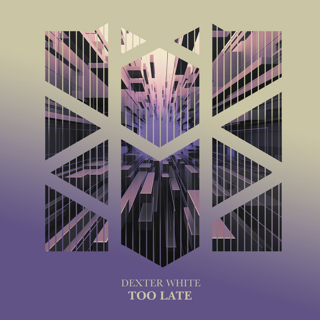 Too Late album art
