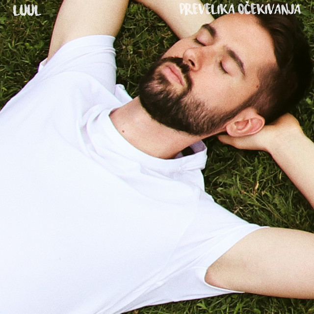 Prevelika očekivanja cover art