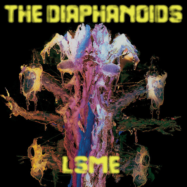 The Diaphanoids Photo