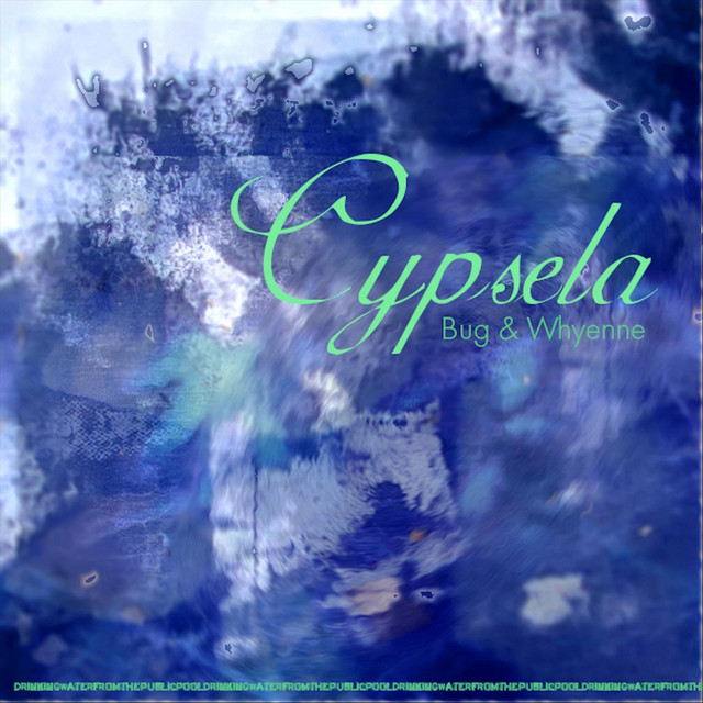 Cypsela cover art